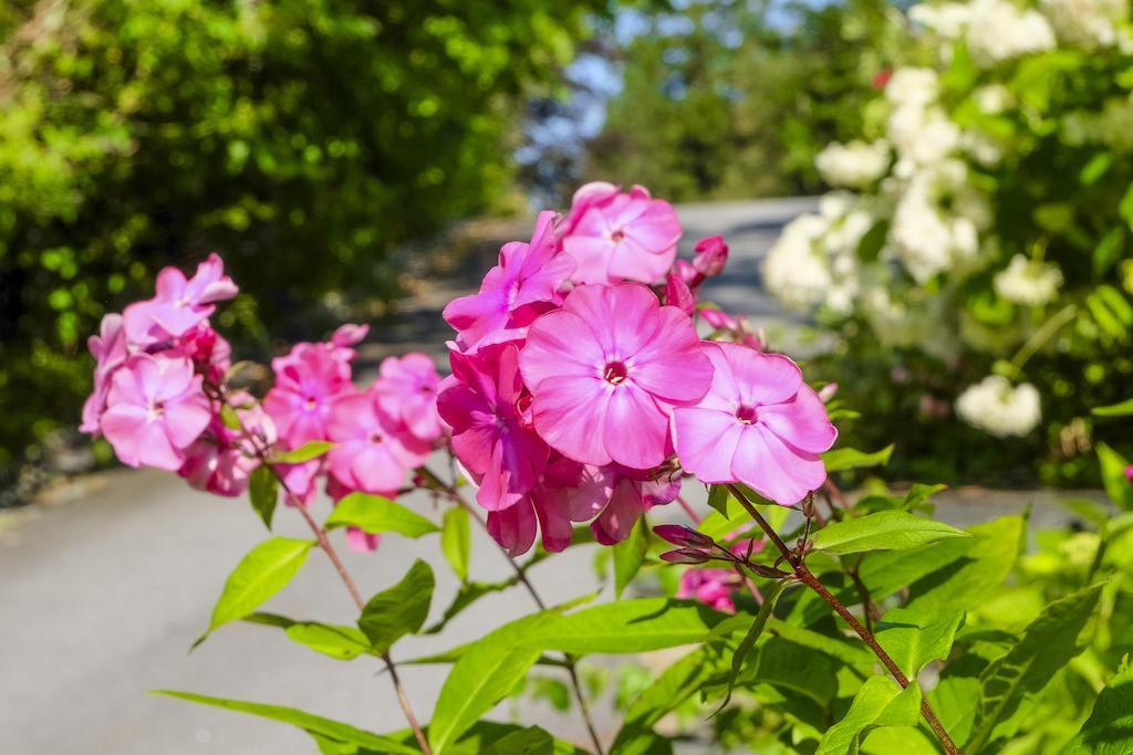 Villa Charlotte 卑爾根 外观 照片